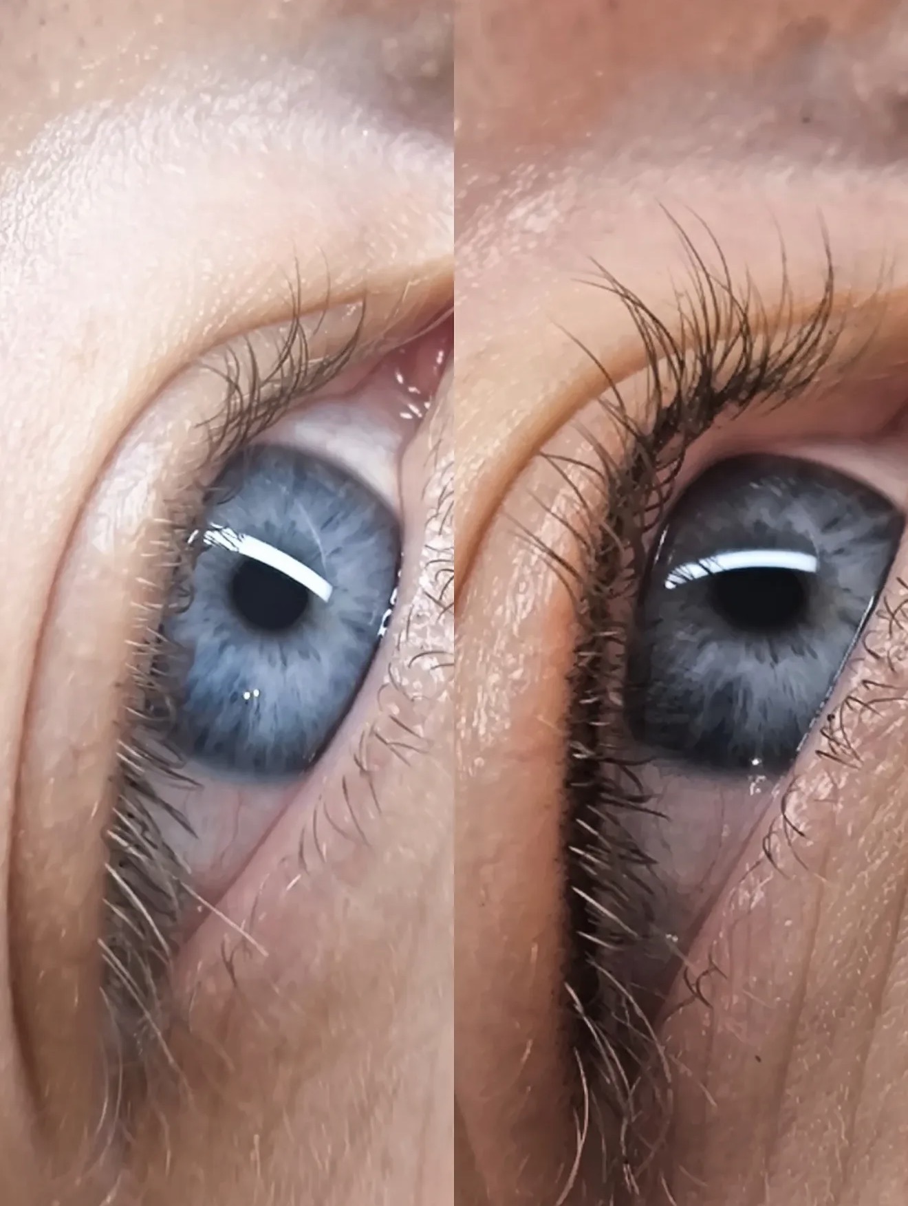 Wimpern